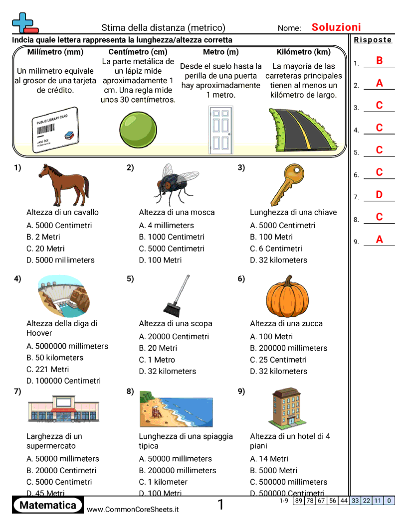 Esercizi sulle Misure - Stimare la lunghezza (metrico) worksheet